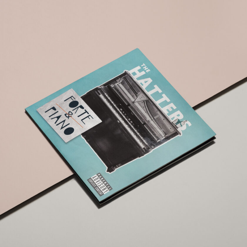 Виниловая обложка The Hatters